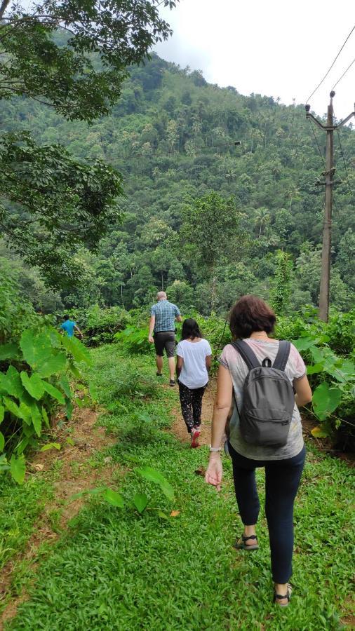 Vanilla County Heritage Plantation Bungalow Vagamon Dış mekan fotoğraf