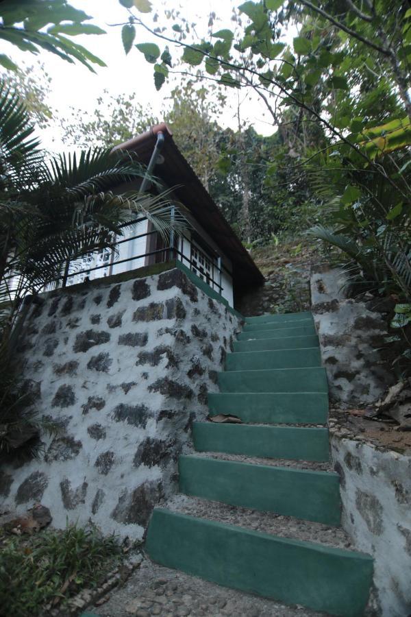 Vanilla County Heritage Plantation Bungalow Vagamon Dış mekan fotoğraf