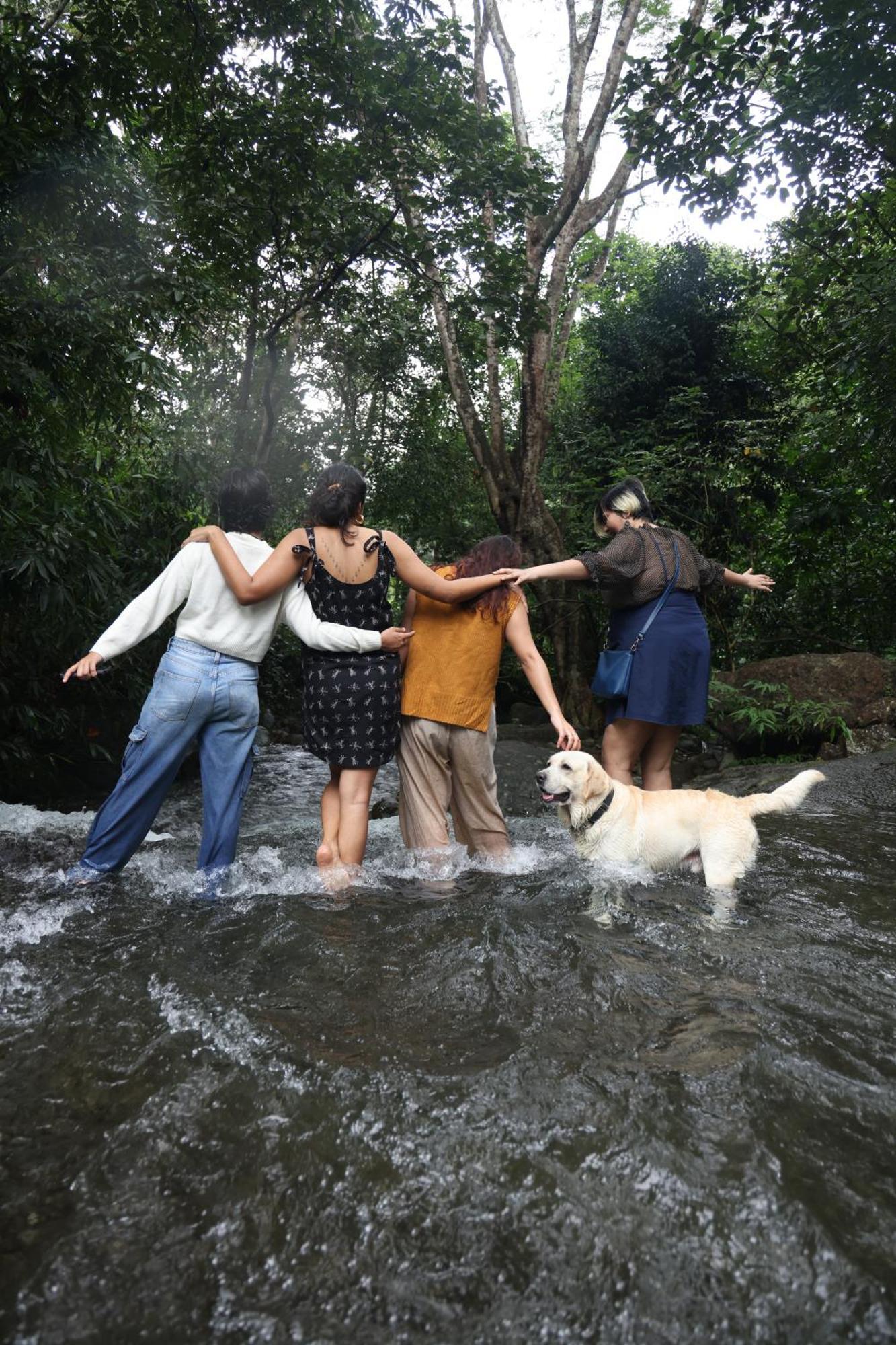 Vanilla County Vagamon Dış mekan fotoğraf