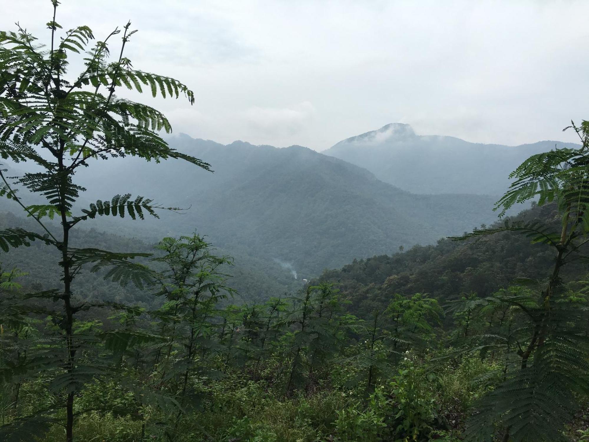 Vanilla County Vagamon Dış mekan fotoğraf