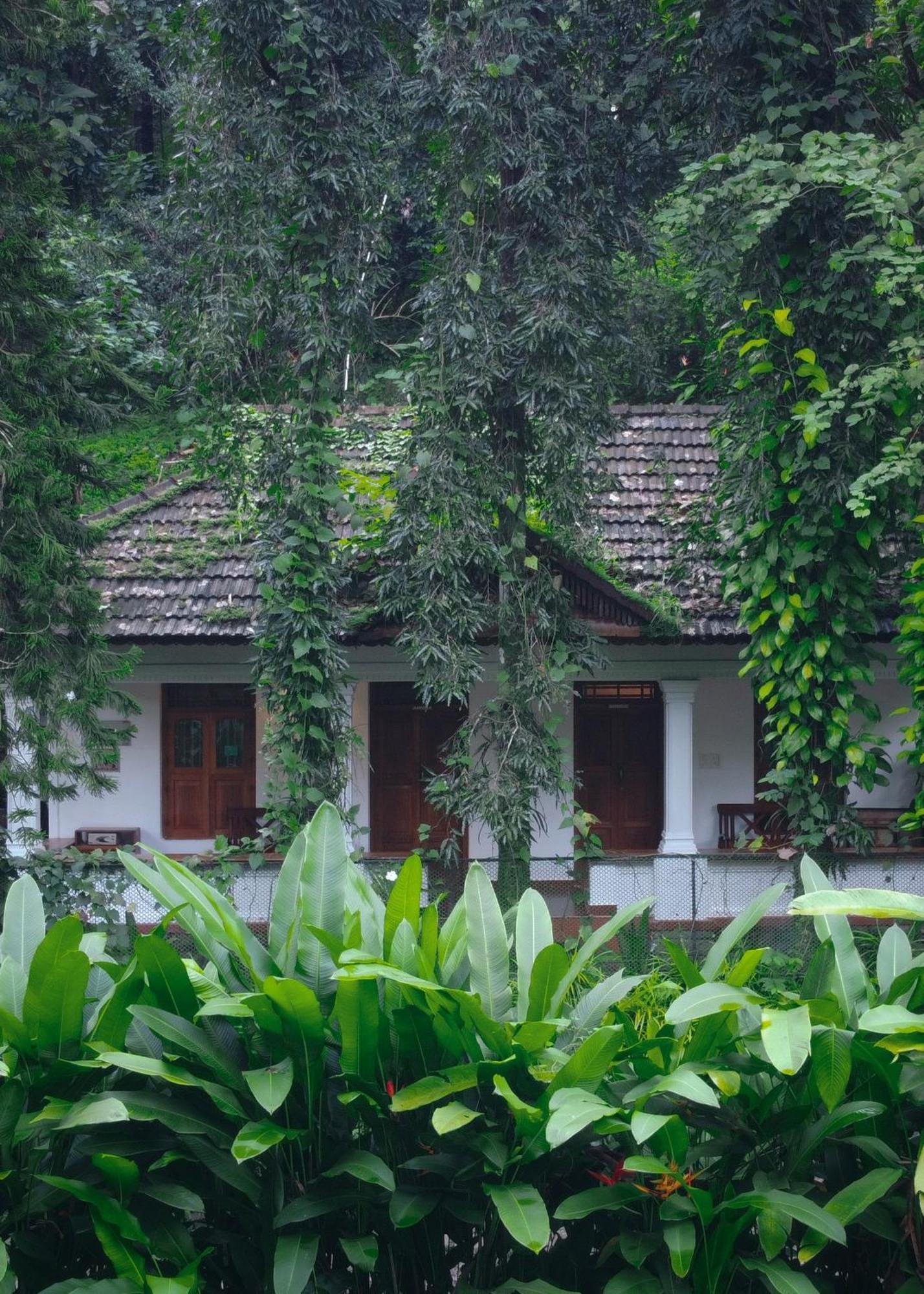 Vanilla County Vagamon Dış mekan fotoğraf